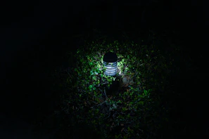 Outdoor landscape lighting casting soft glows on garden pathways and shrubs