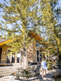 A log cabin-style building surrounded by tall green pine trees. A person is standing near the entrance, wearing a light blue shirt and dark shorts. The cabin features large windows and wooden logs in its construction. The area is well-lit, suggesting a sunny day.