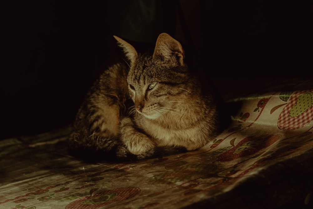 a cat sitting on top of a wooden table