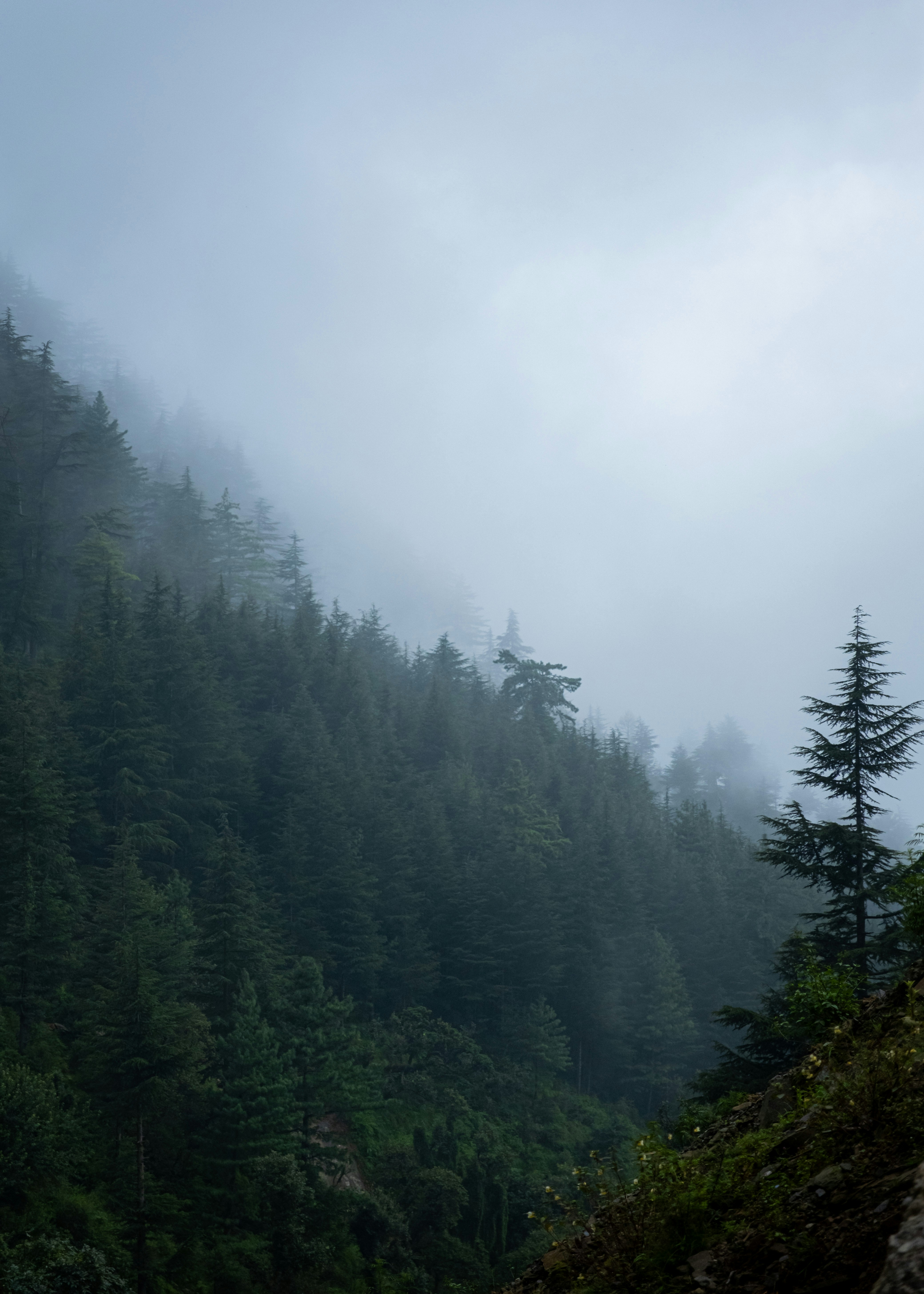 Photo by v91_photography