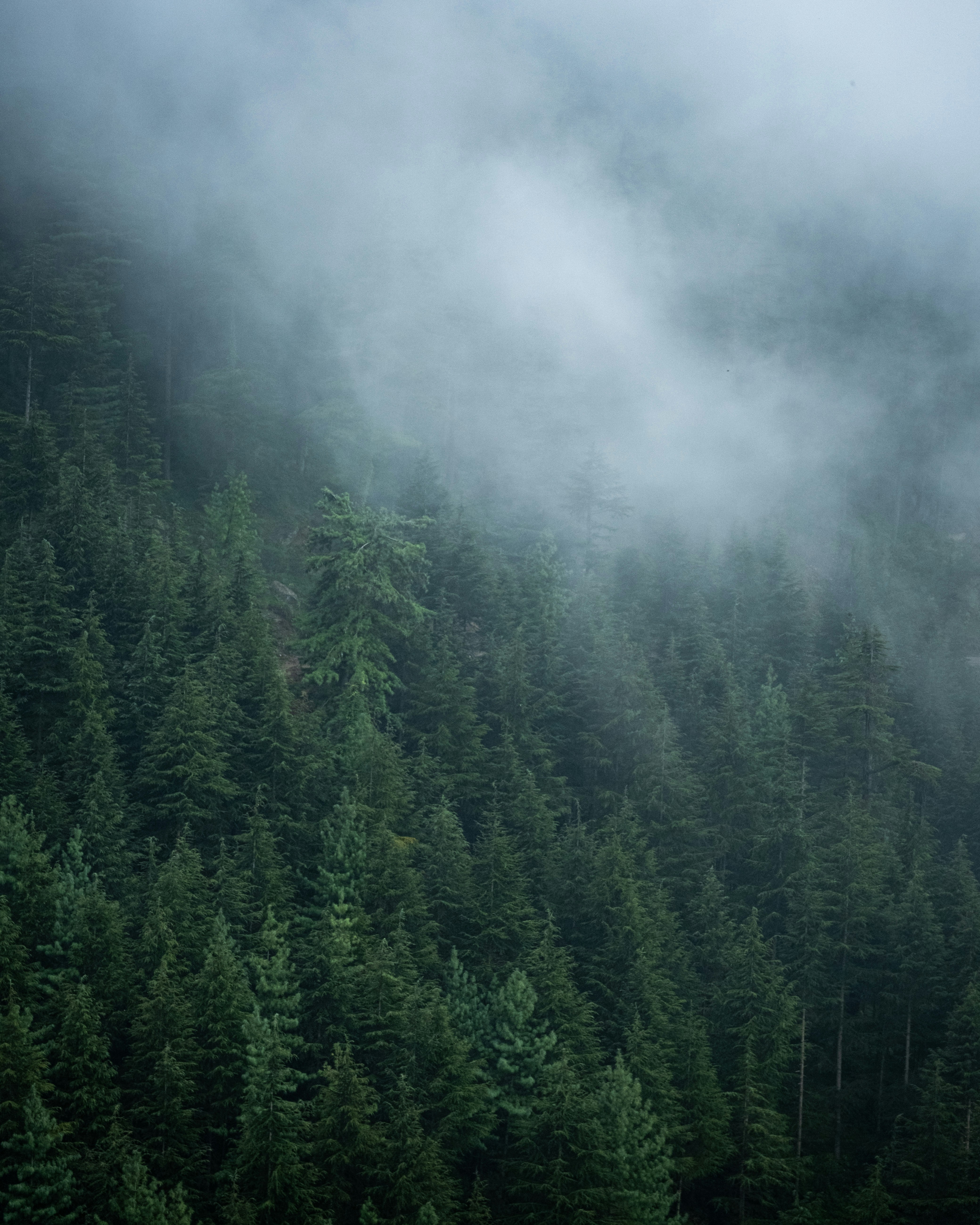 Photo by v91_photography