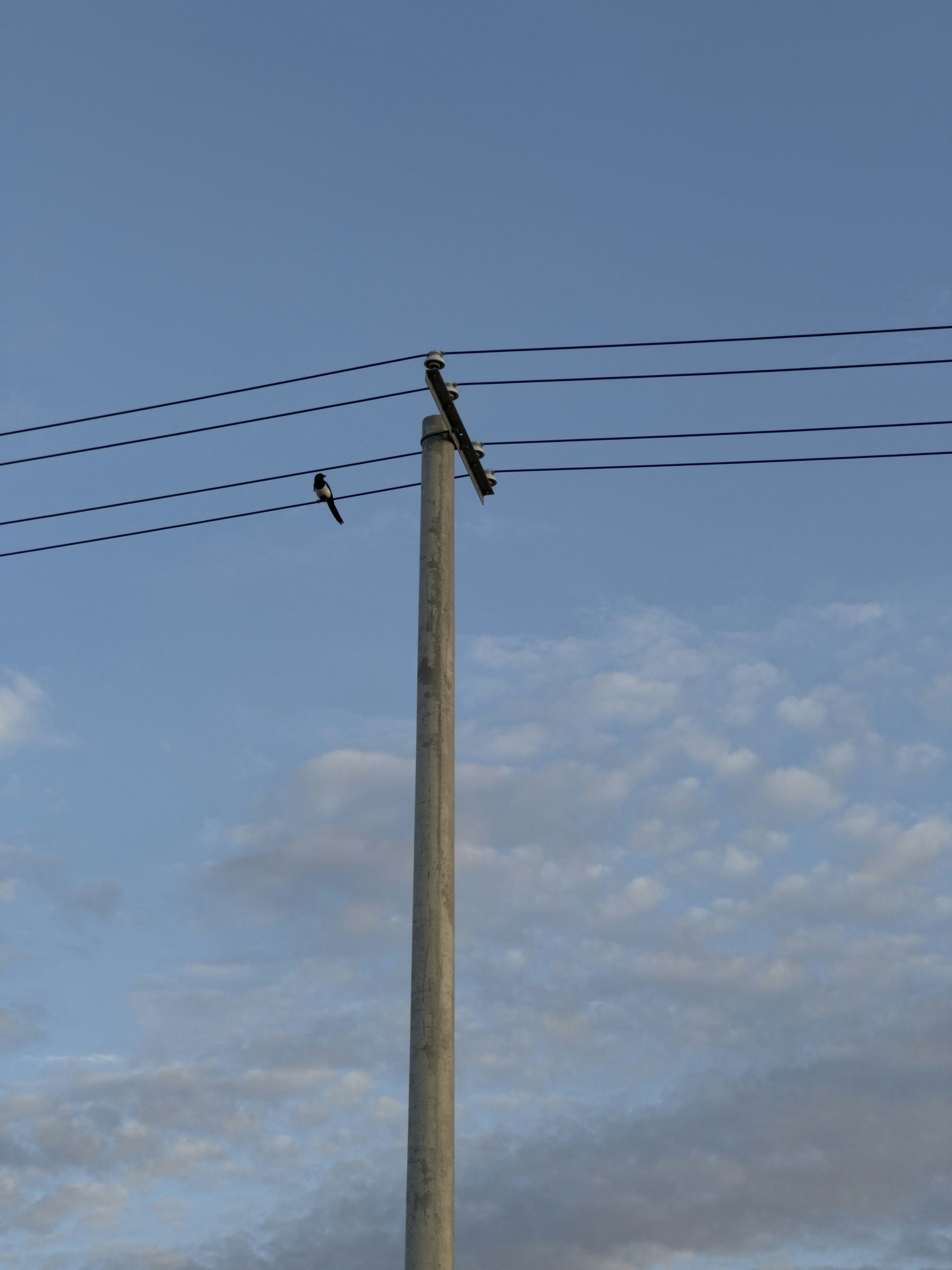 Photo by ericfang404