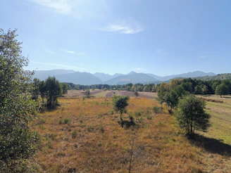 a grassy field with trees and mountains in the background