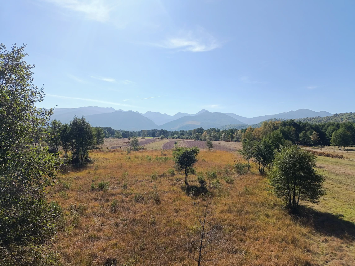 a grassy field with trees and mountains in the background