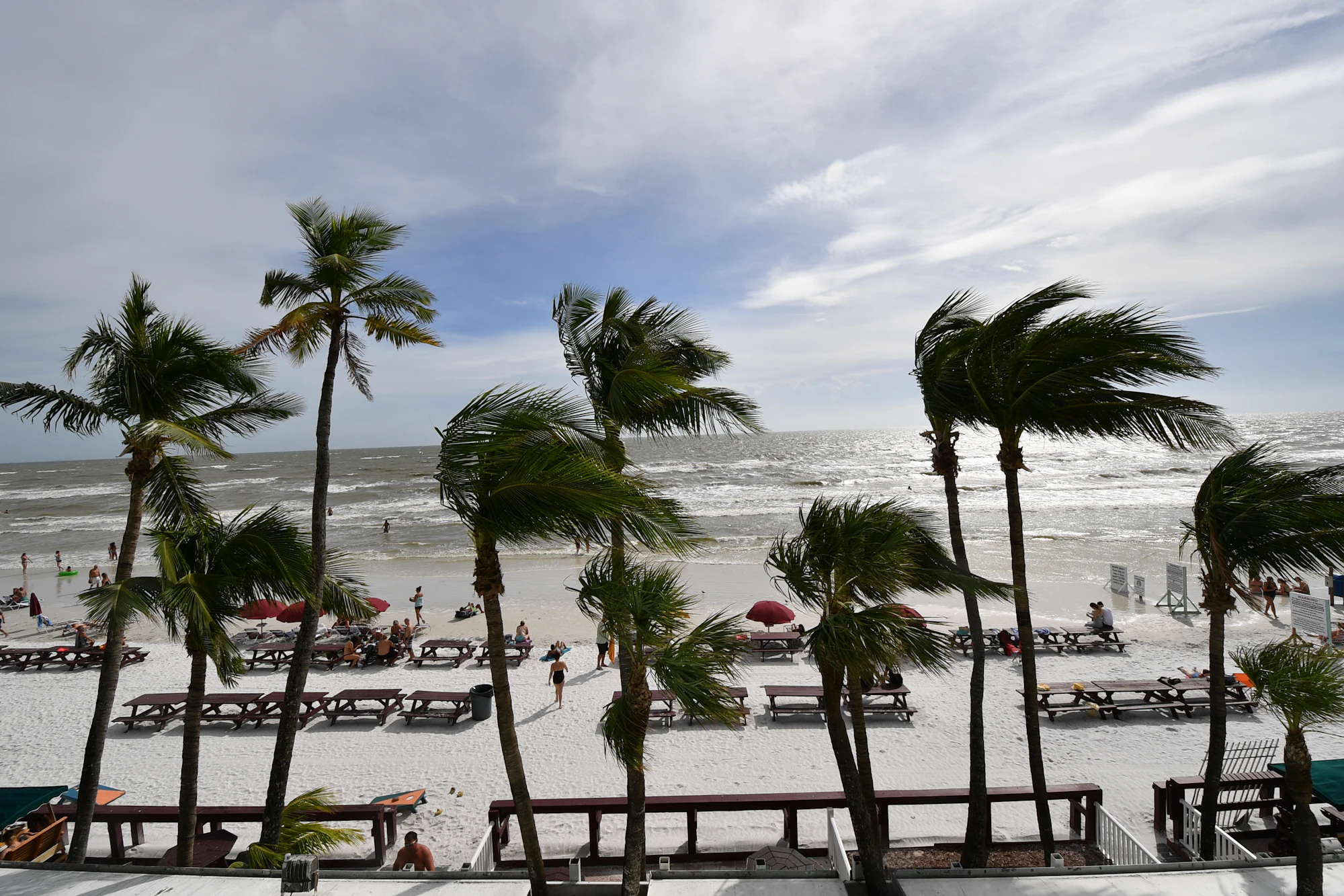 Palm trees along the sand at Fort Myers Beach, Florida