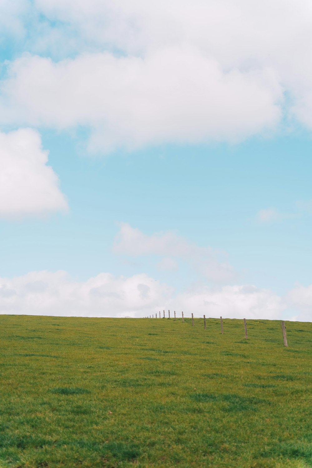 a grassy field with a few trees in the distance