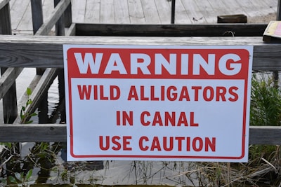A wooden fence features a prominent warning sign with red and white colors, cautioning about wild alligators in the canal. The fence is situated near water with some vegetation visible, suggesting a natural or outdoor setting.