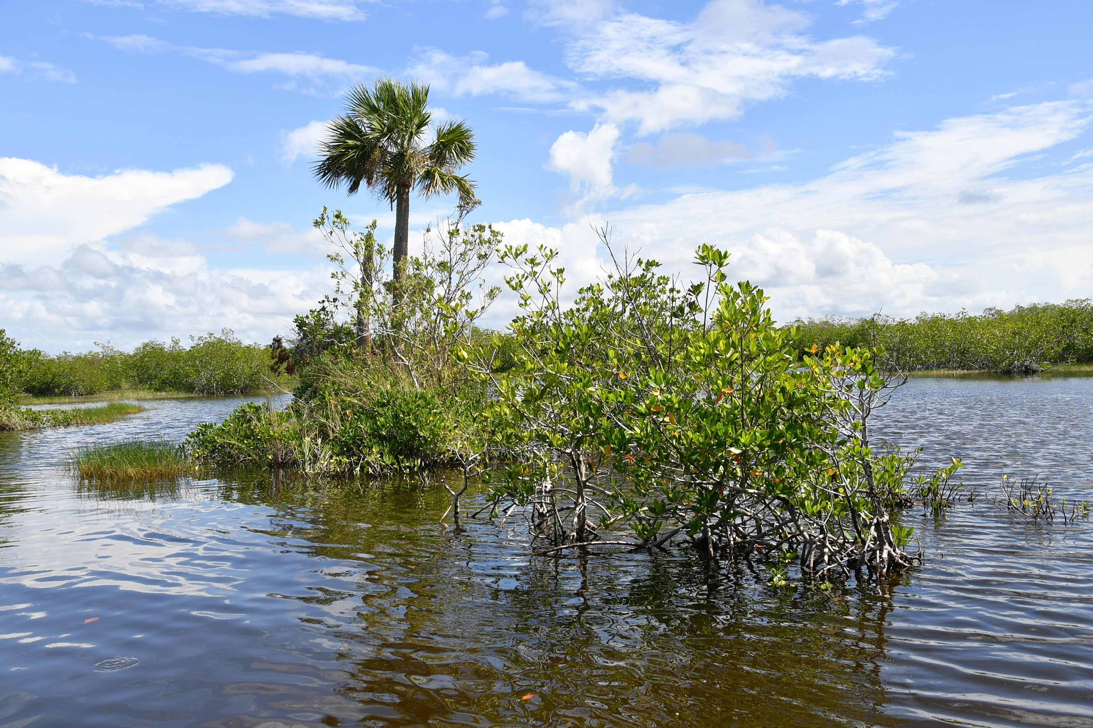 Photo by thomaslohmann