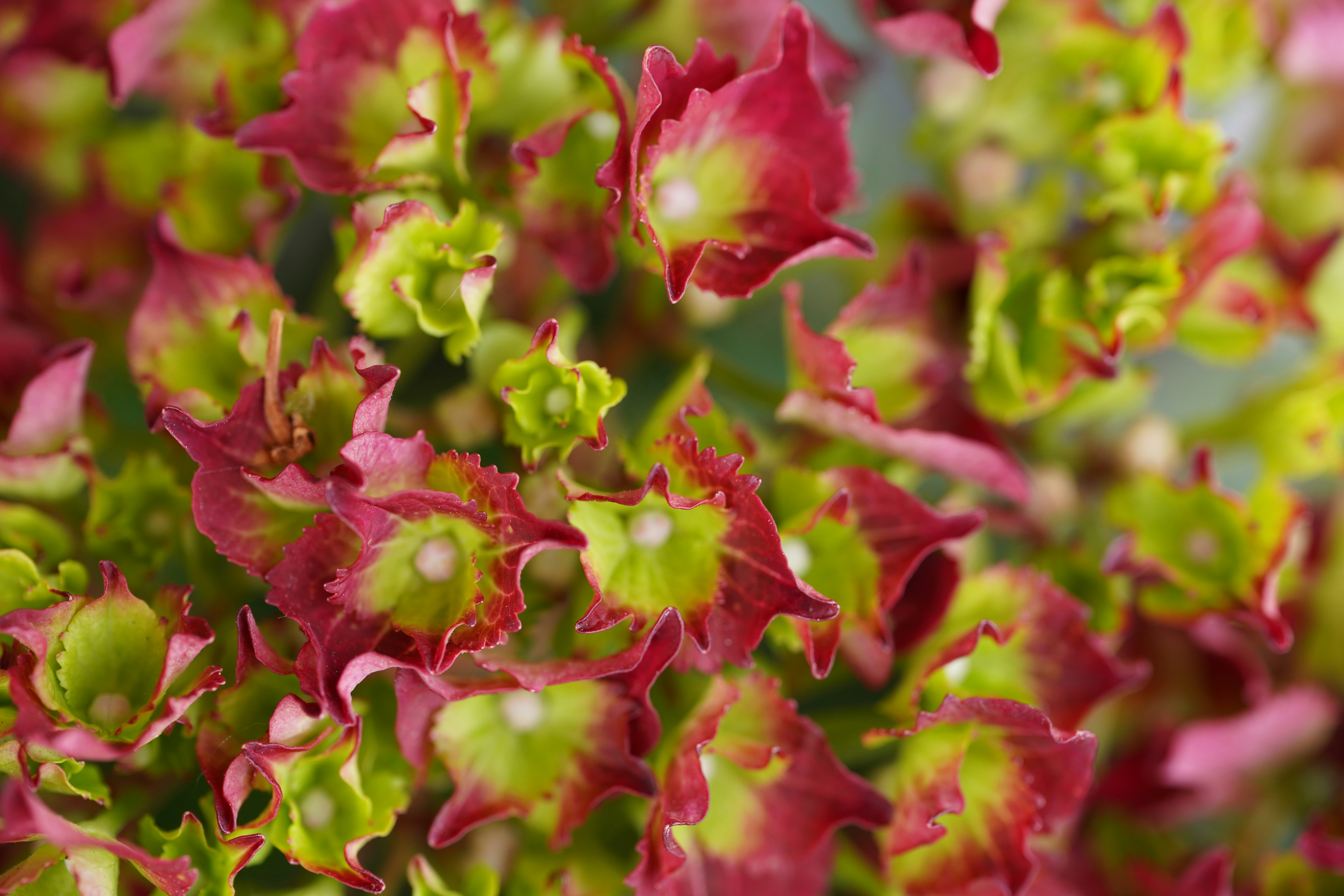 Photo by hooverpaul55