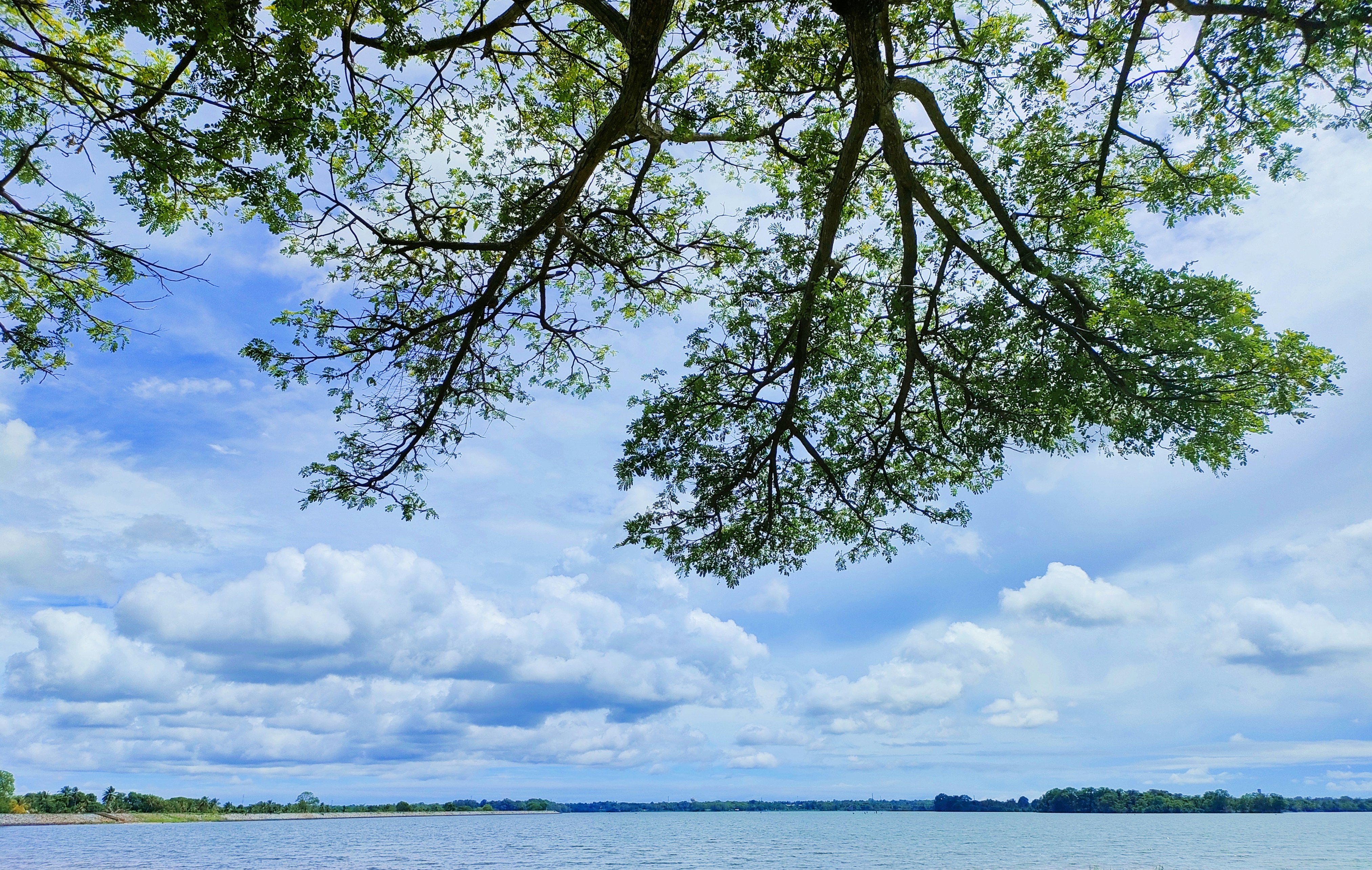 Photo by damith_shanelka