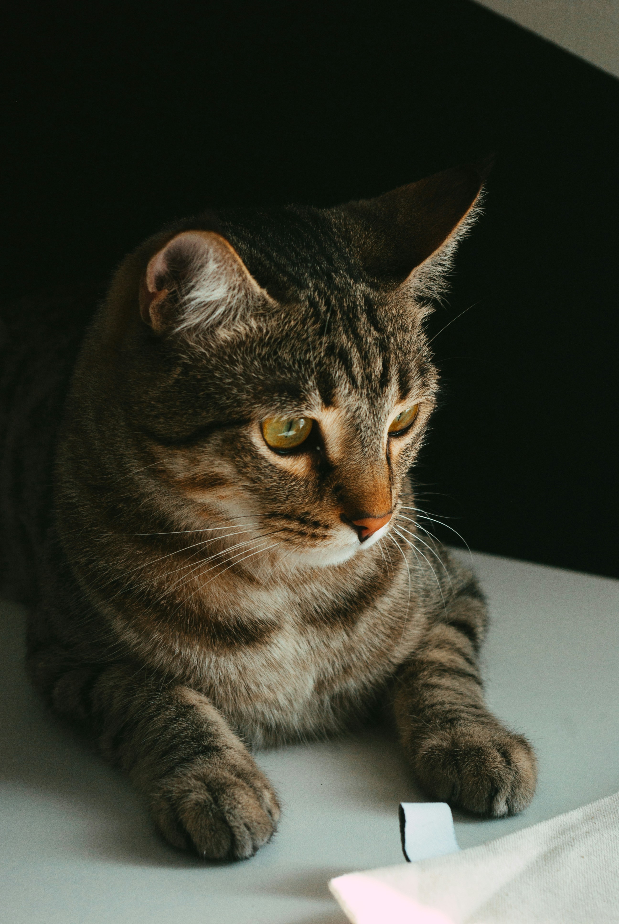 Photo by moonmoons_days