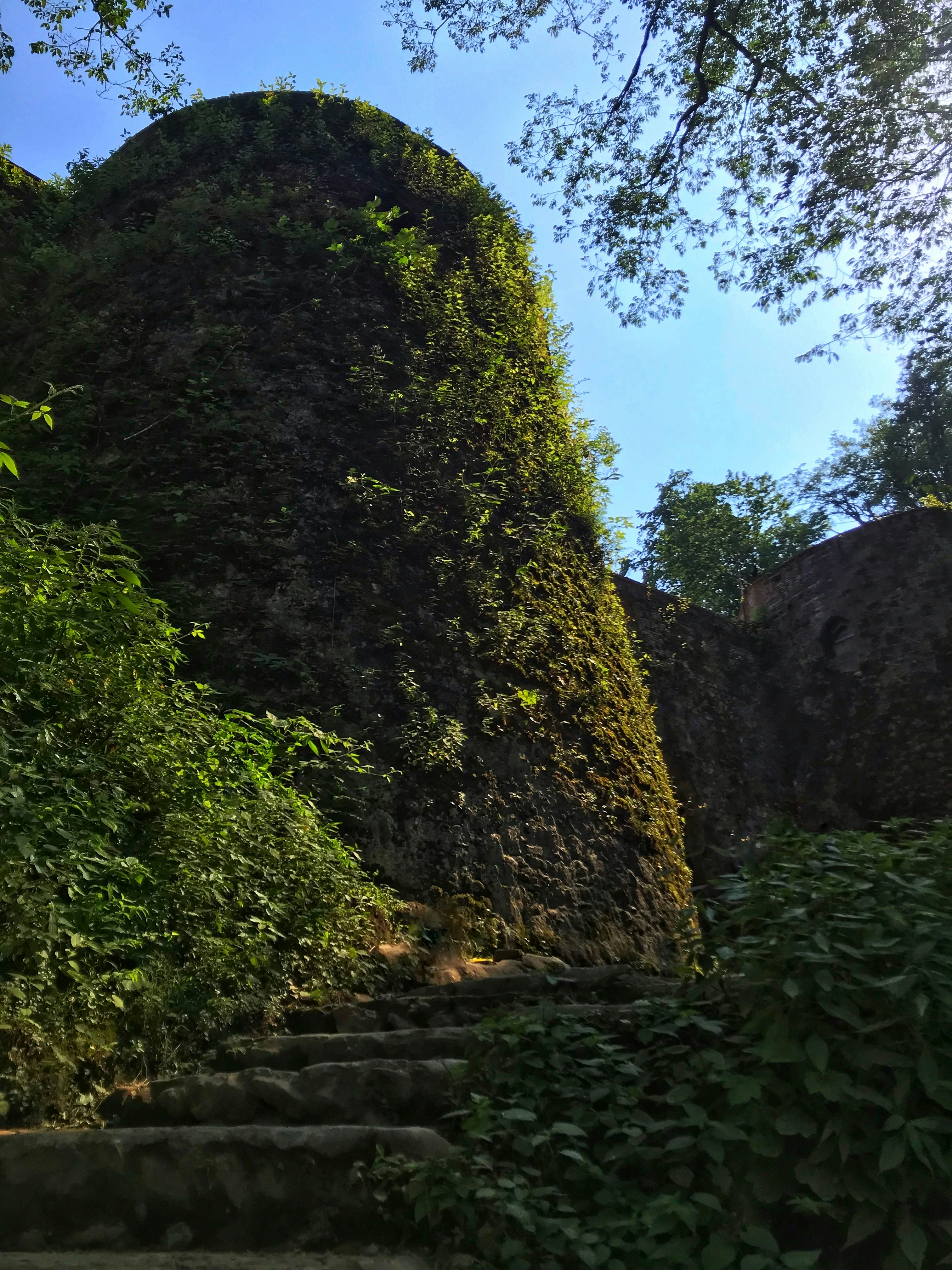 Photo by shimashojaei