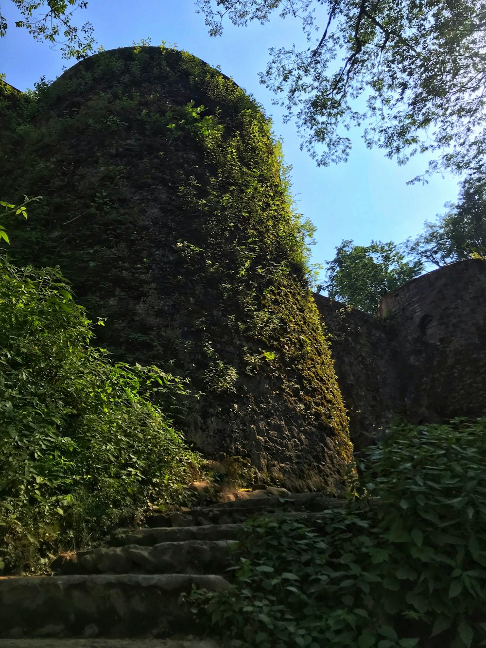 a very tall tower with a bunch of trees on top of it