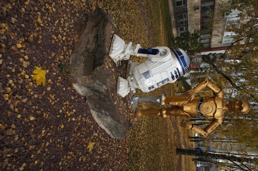 Two robot statues stand on a rock amidst fallen autumn leaves. One is white and blue with a cylindrical shape, and the other is gold, humanoid, and upright. They are situated in a park area with trees and a building in the background.