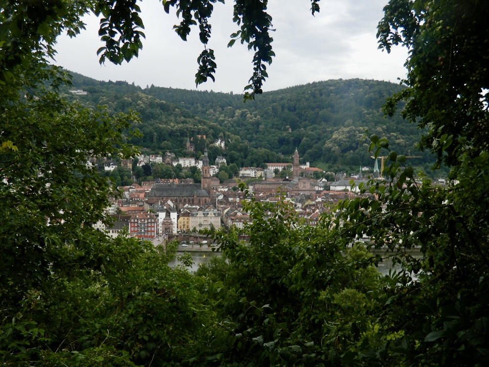 a view of a town through some trees