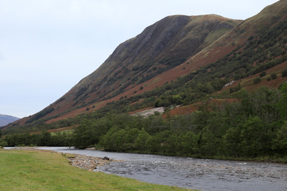 a river running through a lush green valley