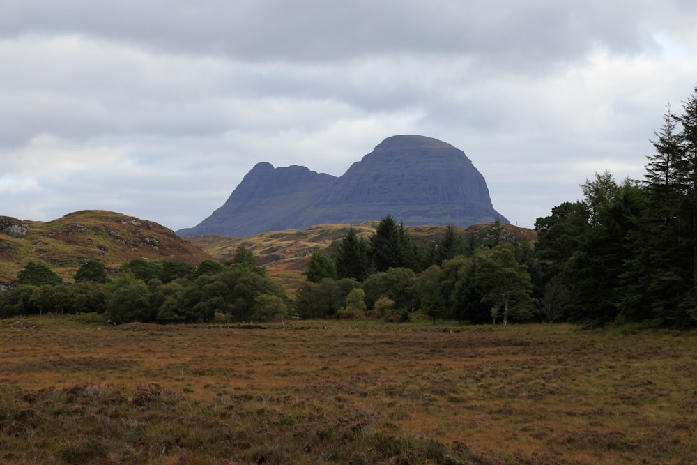 a grassy field with a mountain in the background