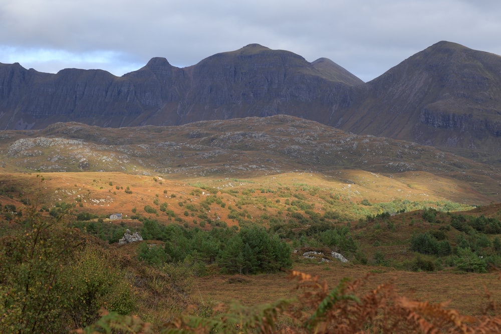 a mountain range with trees and bushes in the foreground