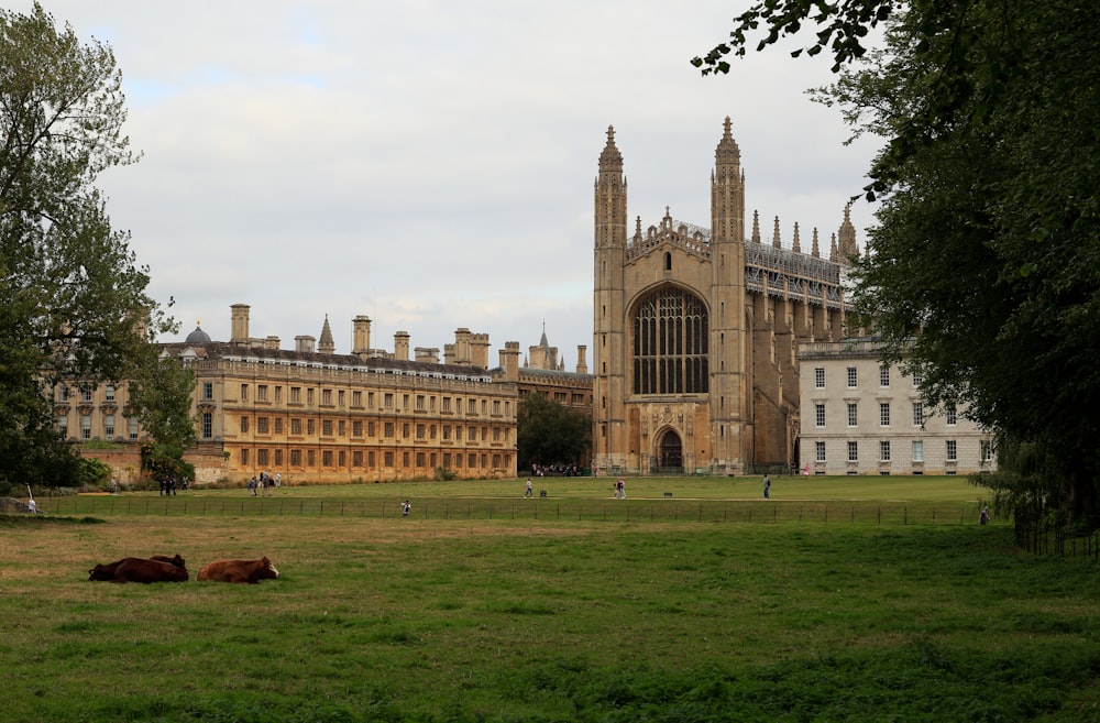 a large building with a clock tower in the middle of a field