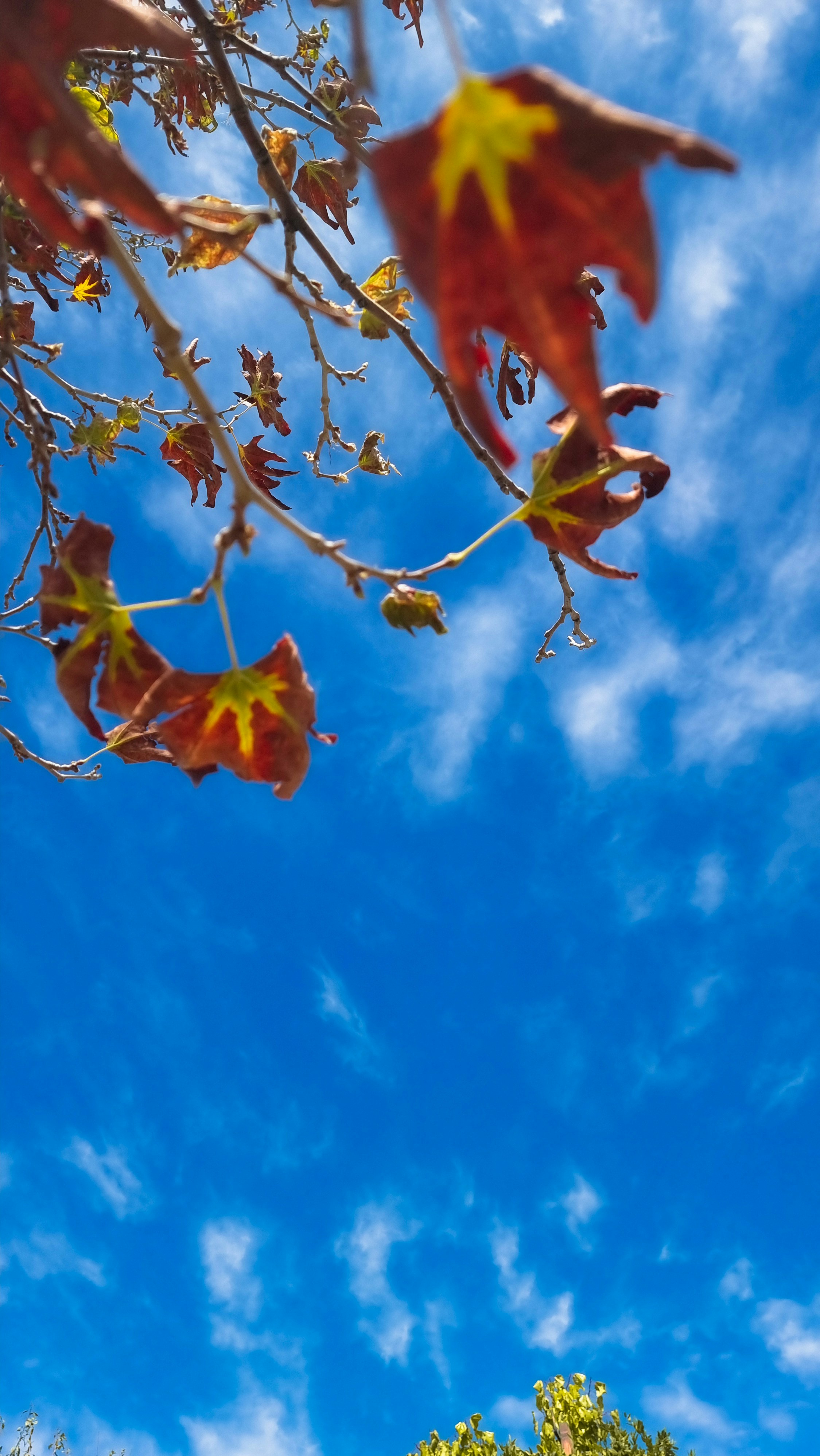 Photo by ashkanshahrokh