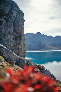 Mountain Puzzle