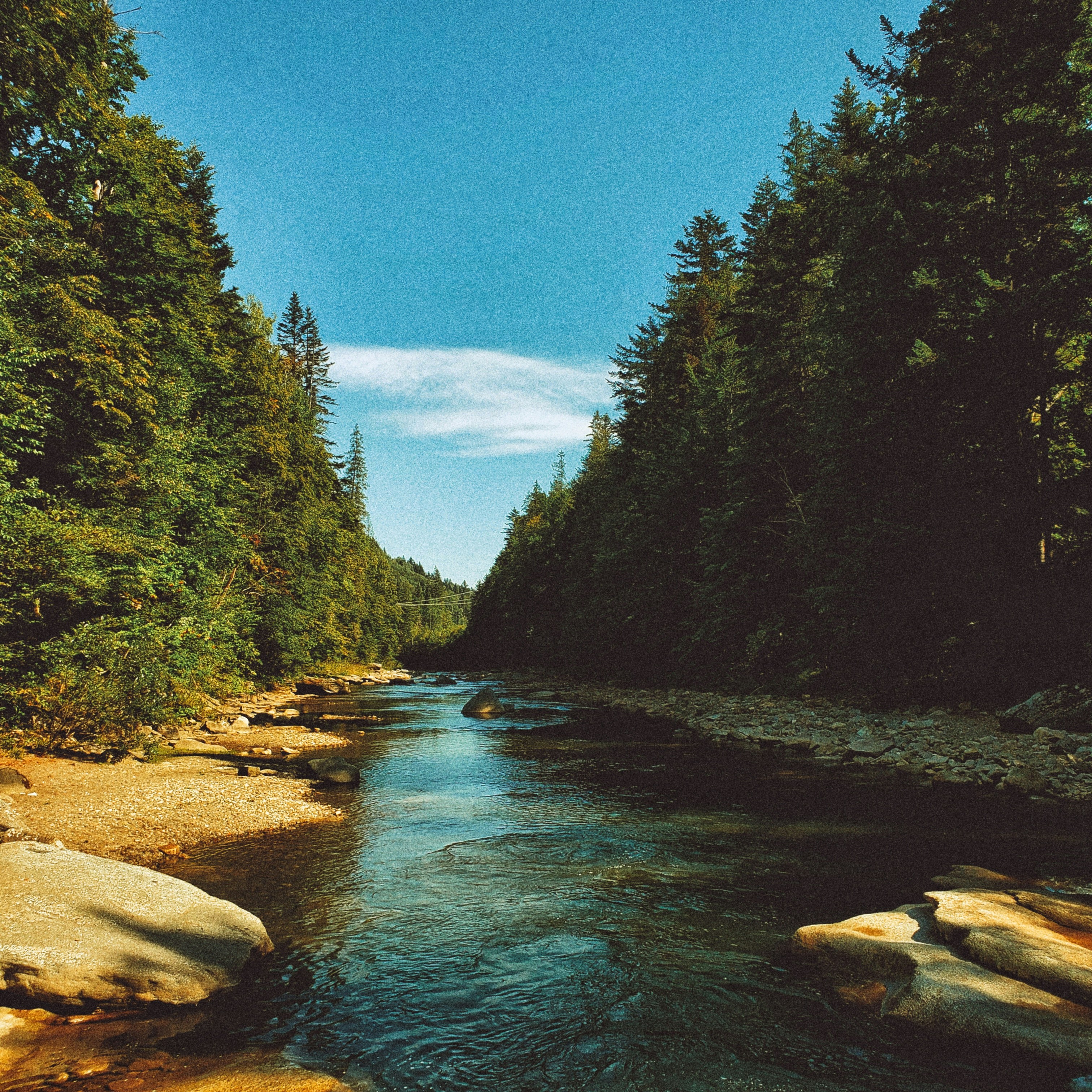 Photo by vlad_lomakovych