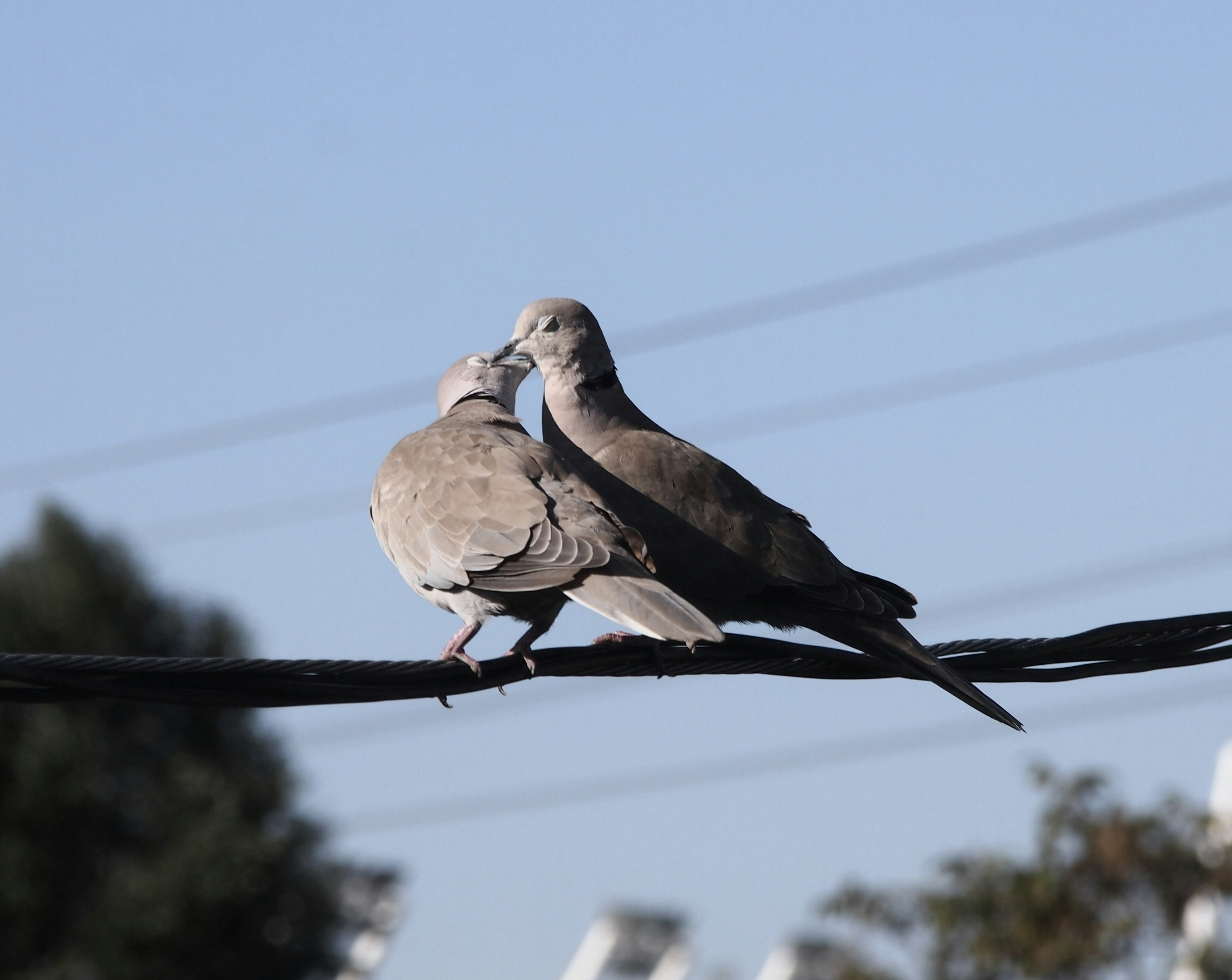 Photo by h0rvathluca