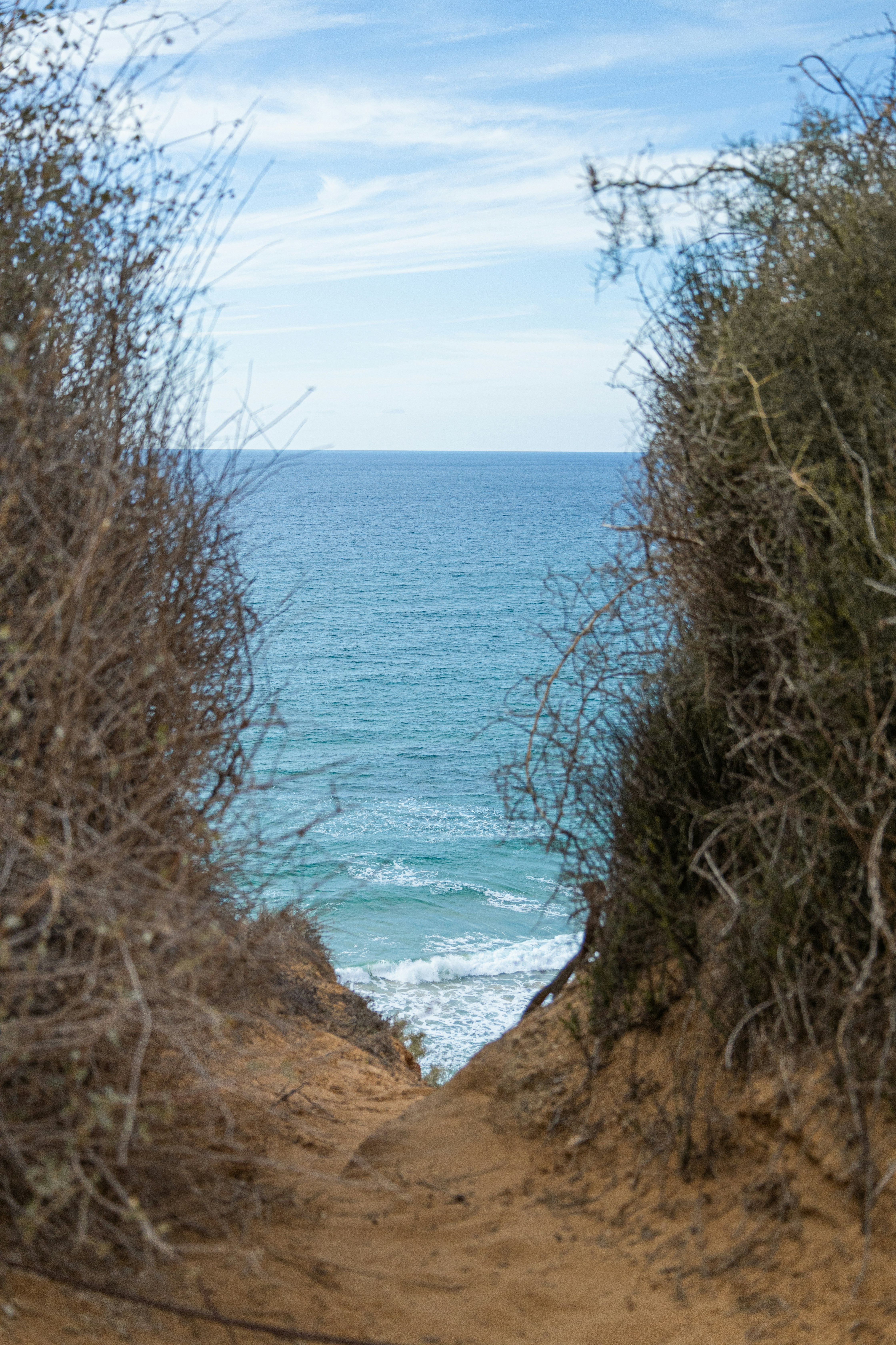 a view of a body of water through some bushes