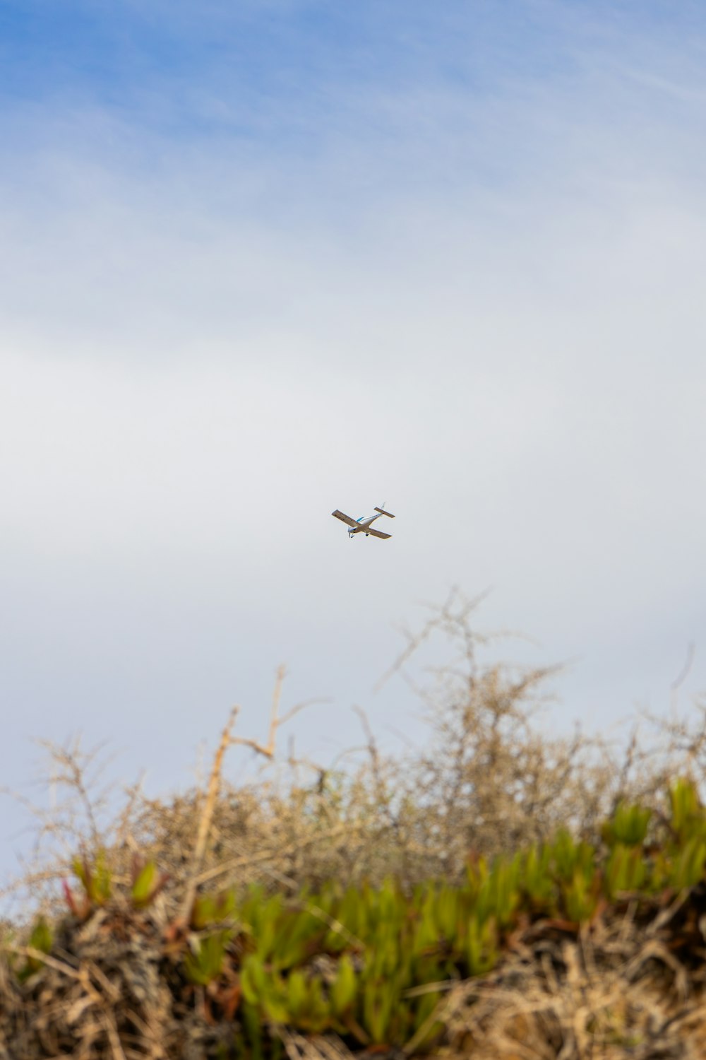 an airplane is flying over a grassy area