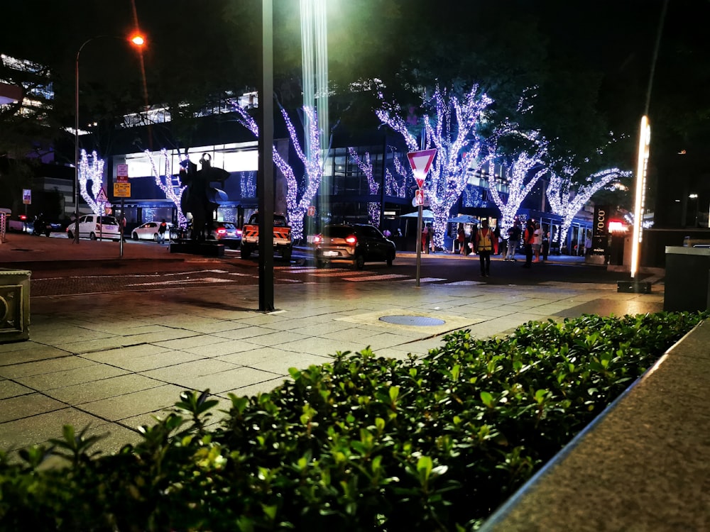 Eine nächtliche Stadtstraße mit Lichtern an Bäumen