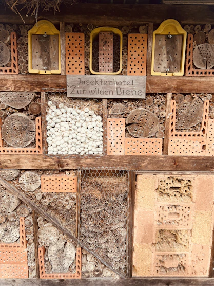 a wall with a bunch of different items on it