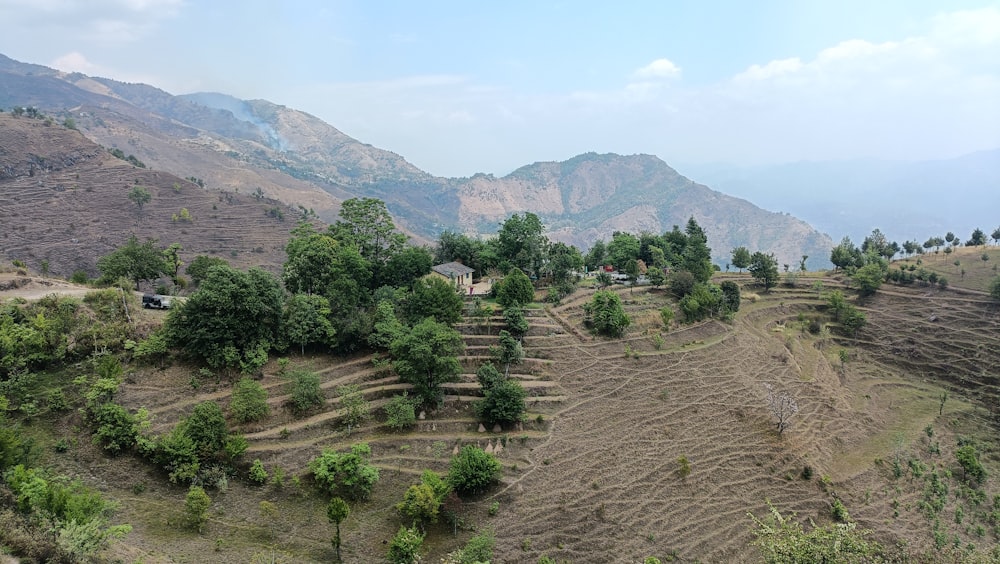 a view of a hillside with a few trees on it