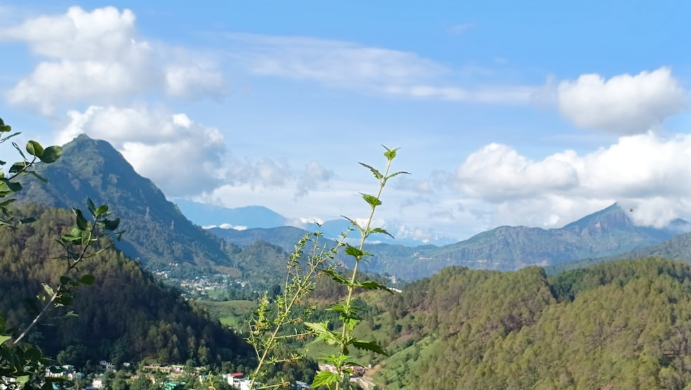 a view of a valley with mountains in the background