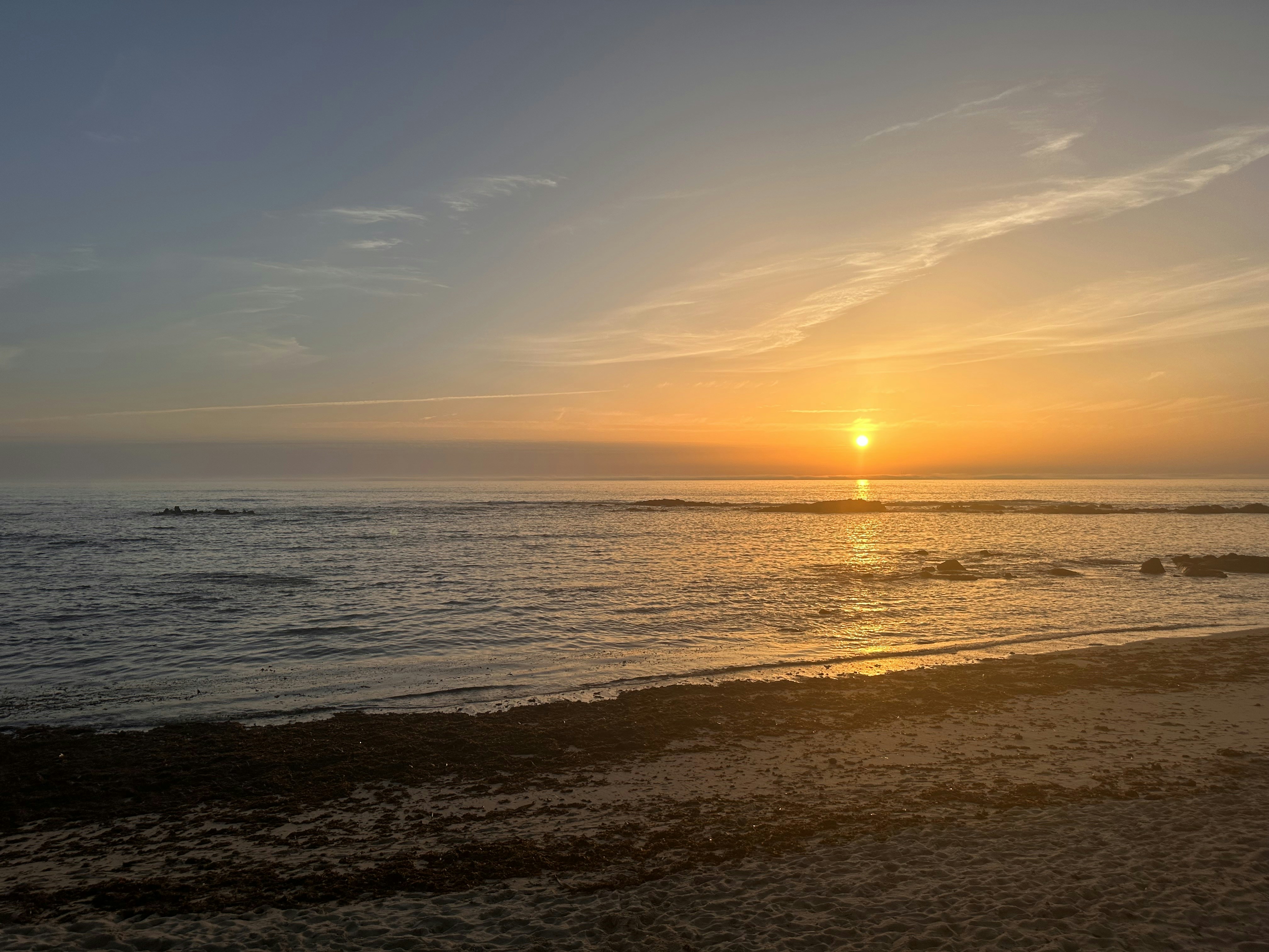 Photo by mozartbrito