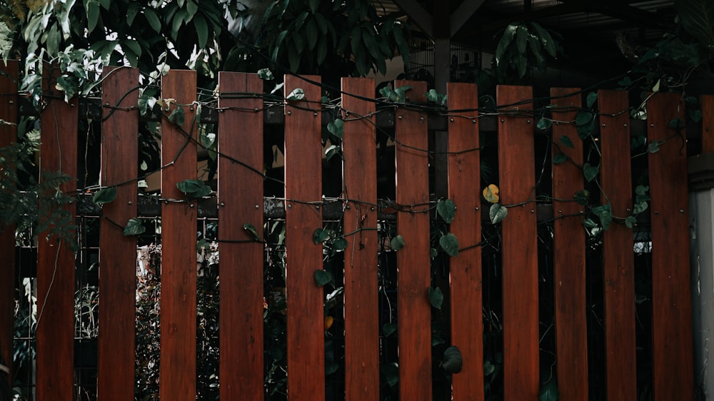 a wooden fence with vines growing on it