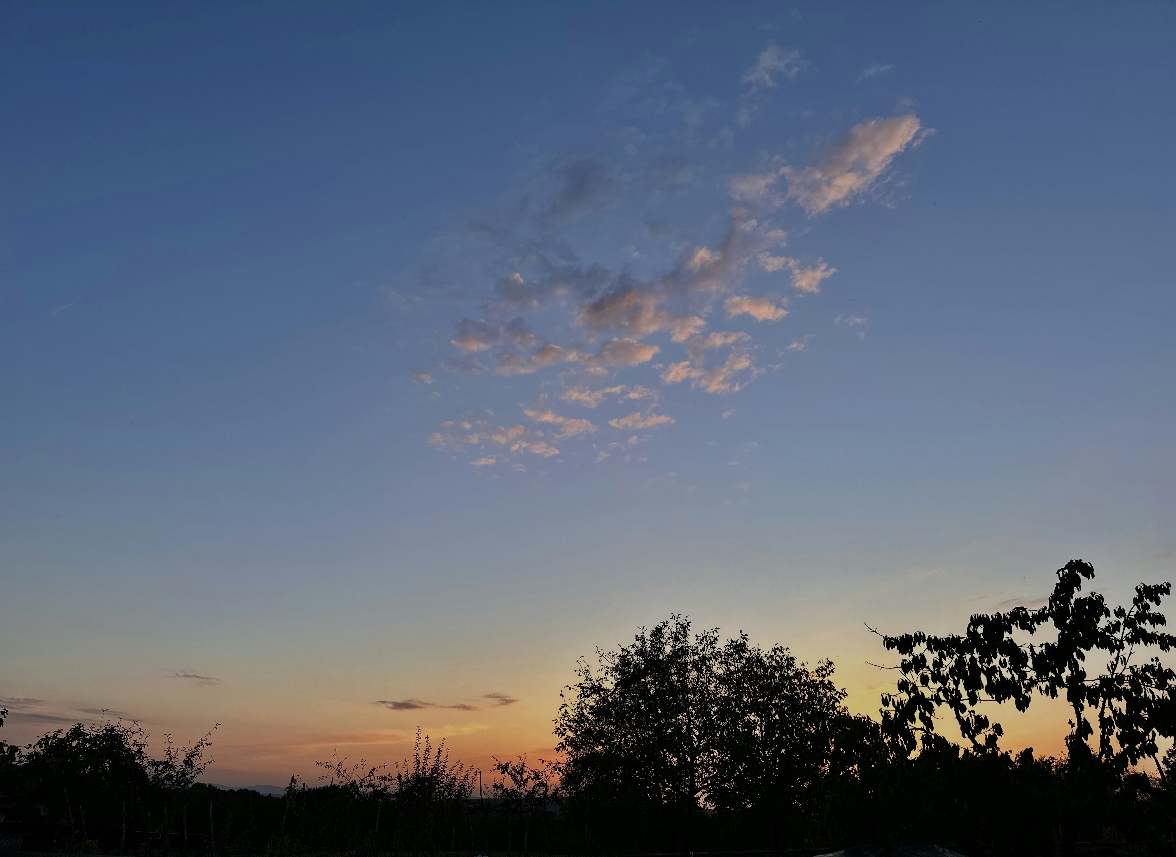 Photo by budauoana231