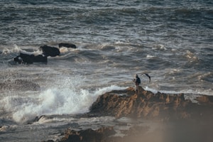 A sturdy sea fishing rod leaning against a rocky shoreline with waves crashing nearby.