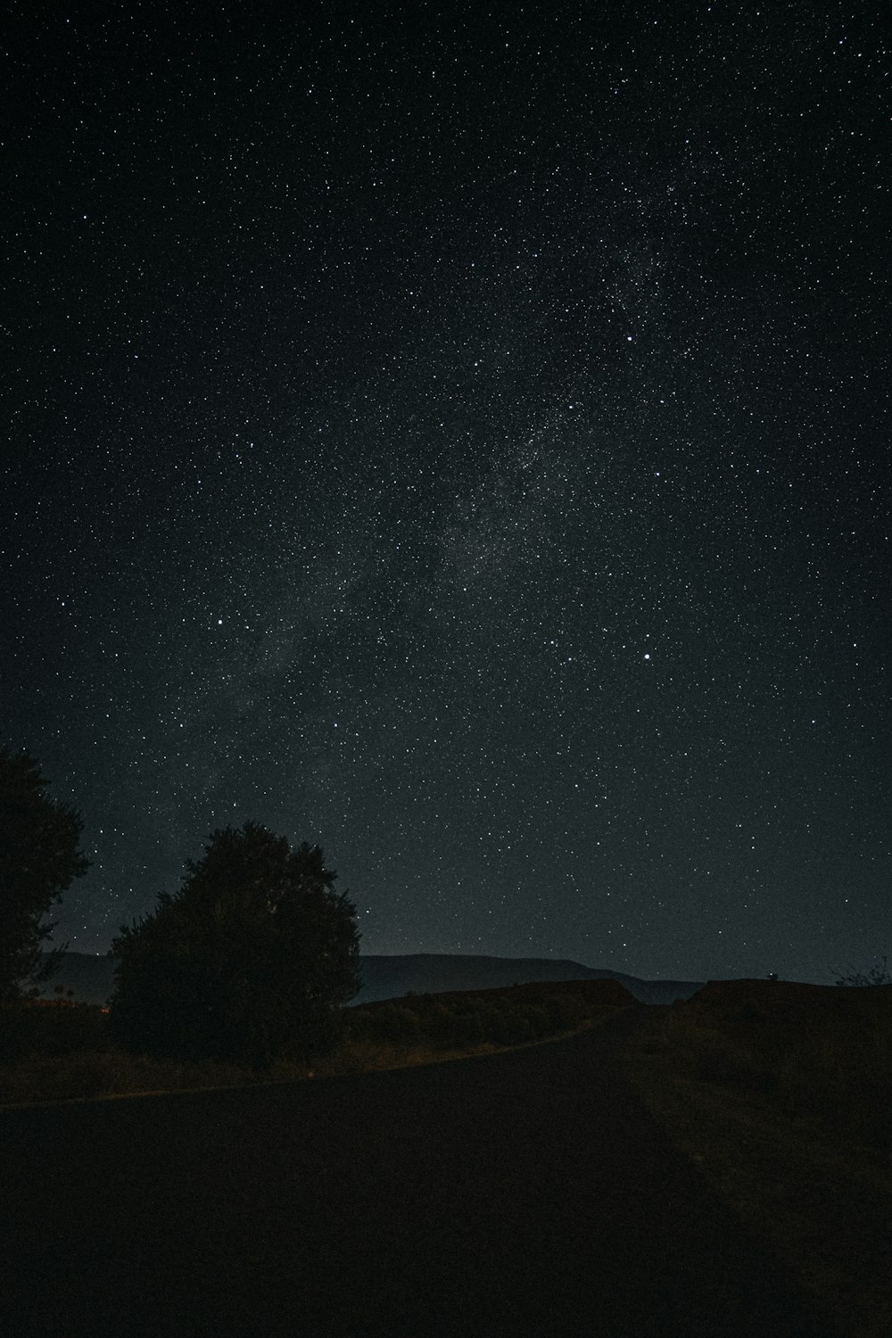 the night sky with stars and trees in the foreground