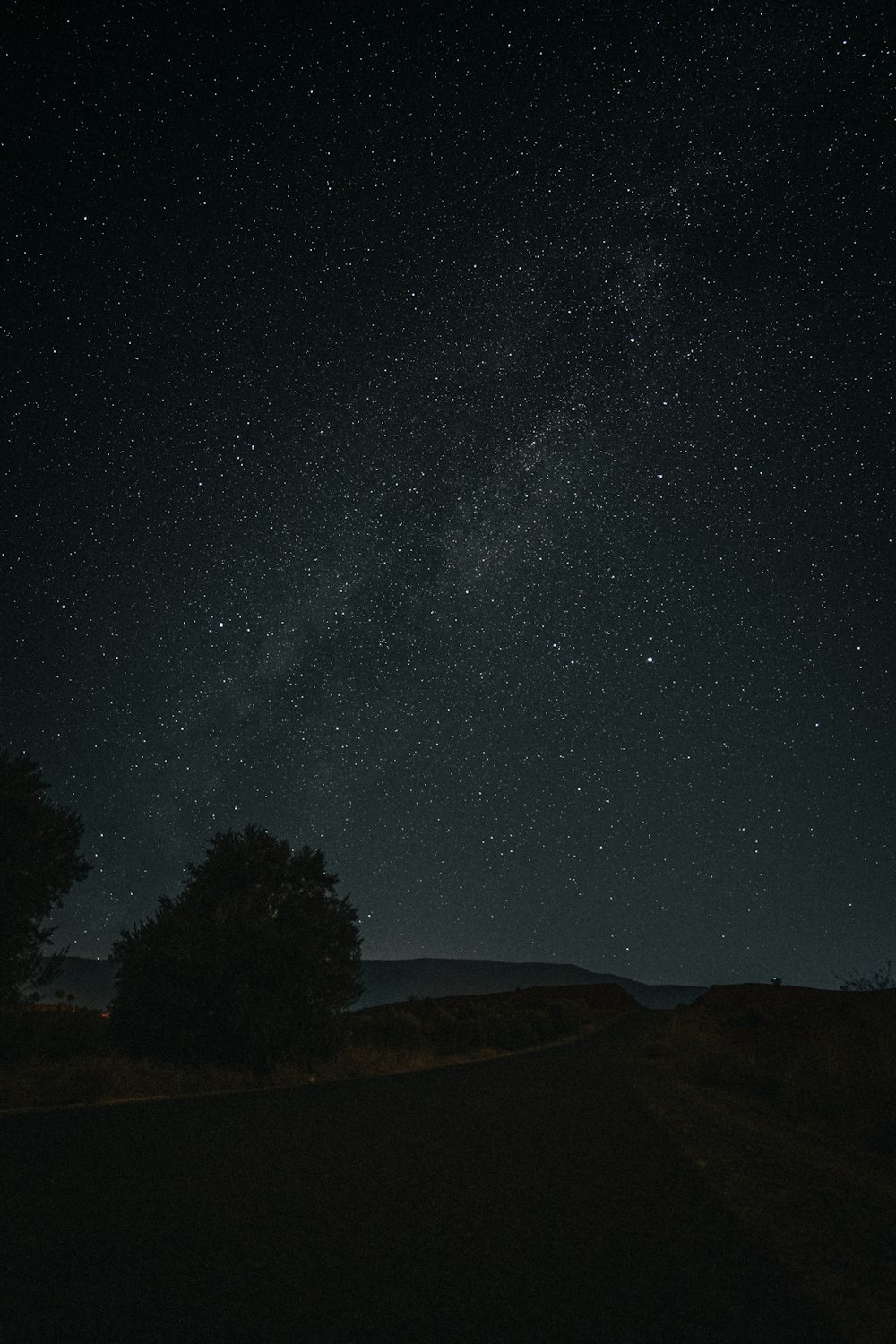 el cielo nocturno con estrellas y árboles en primer plano