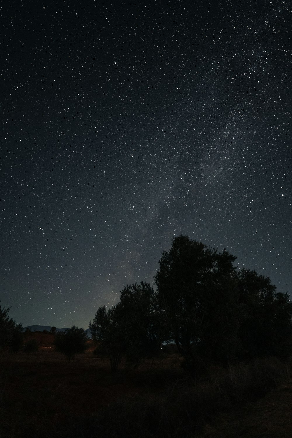 the night sky is filled with stars and trees