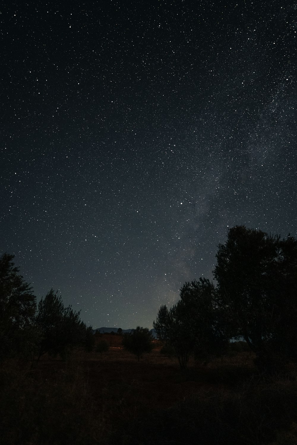 the night sky is filled with stars and trees