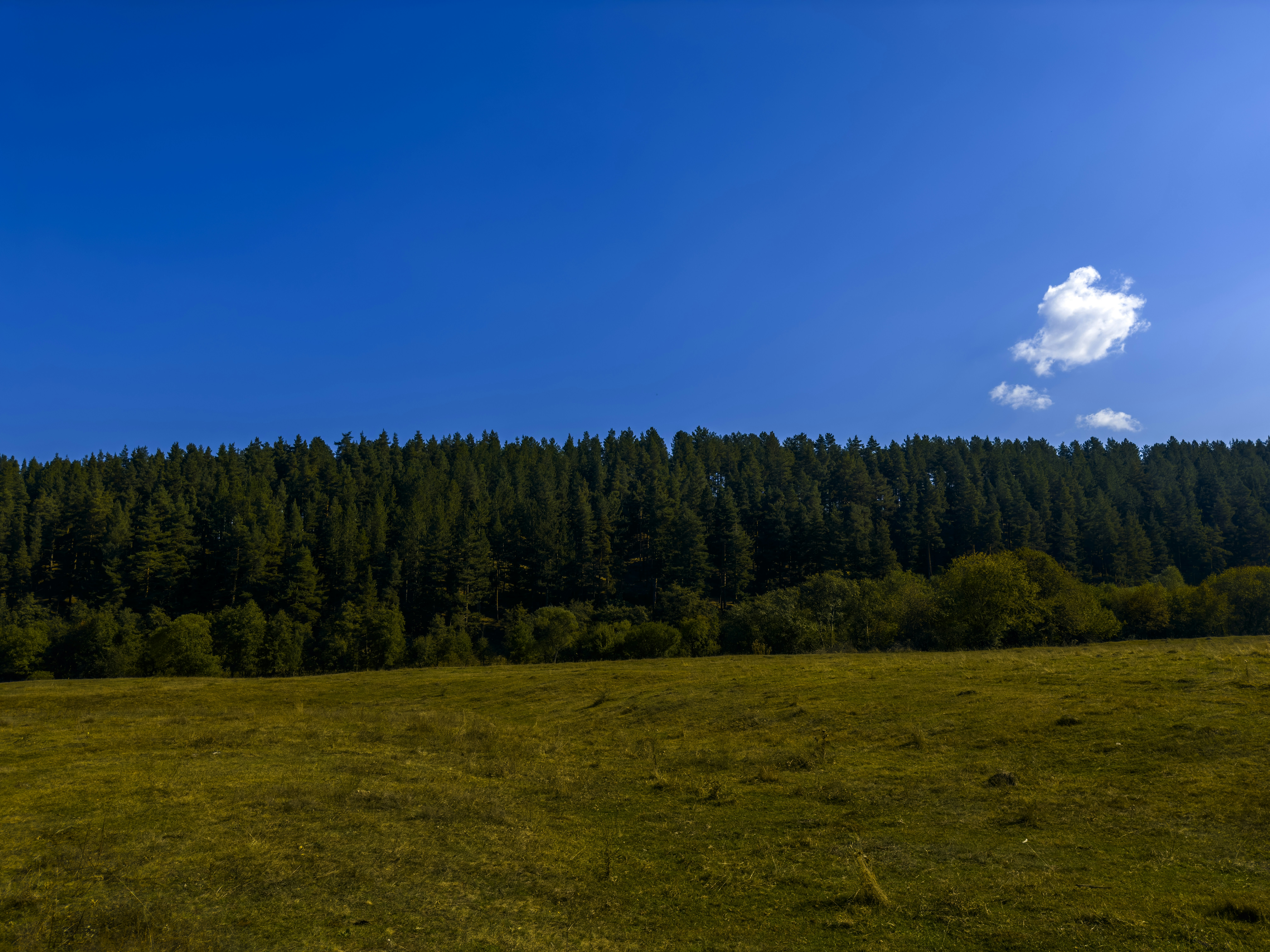 Photo by archange1michael