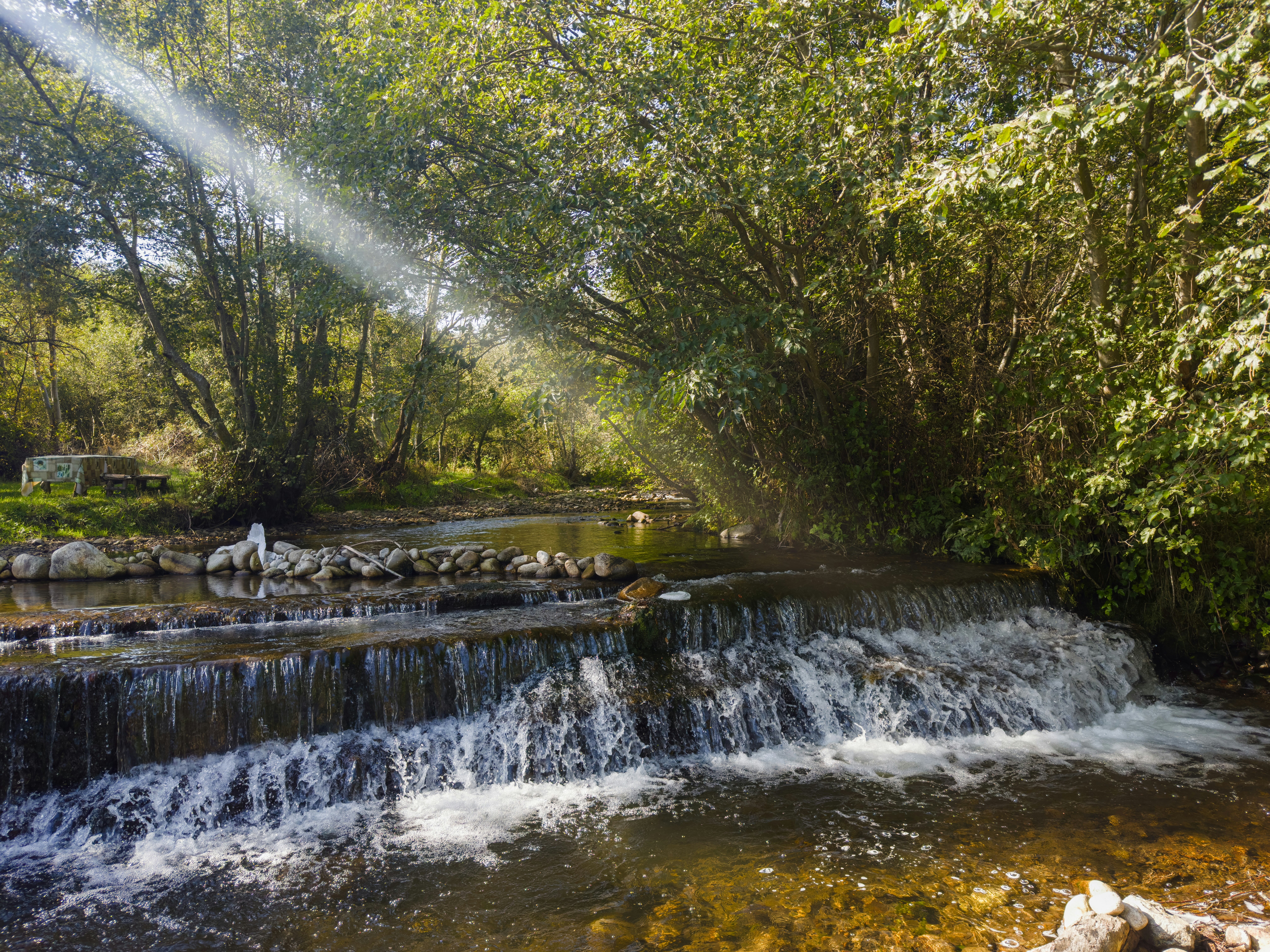 Photo by archange1michael