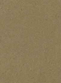 A textured surface with a consistent pattern, resembling recycled or craft paper. The texture includes small specks of various colors, adding to its natural, raw appearance.