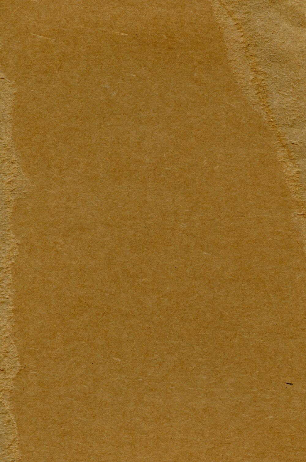 a piece of brown paper with a brown background