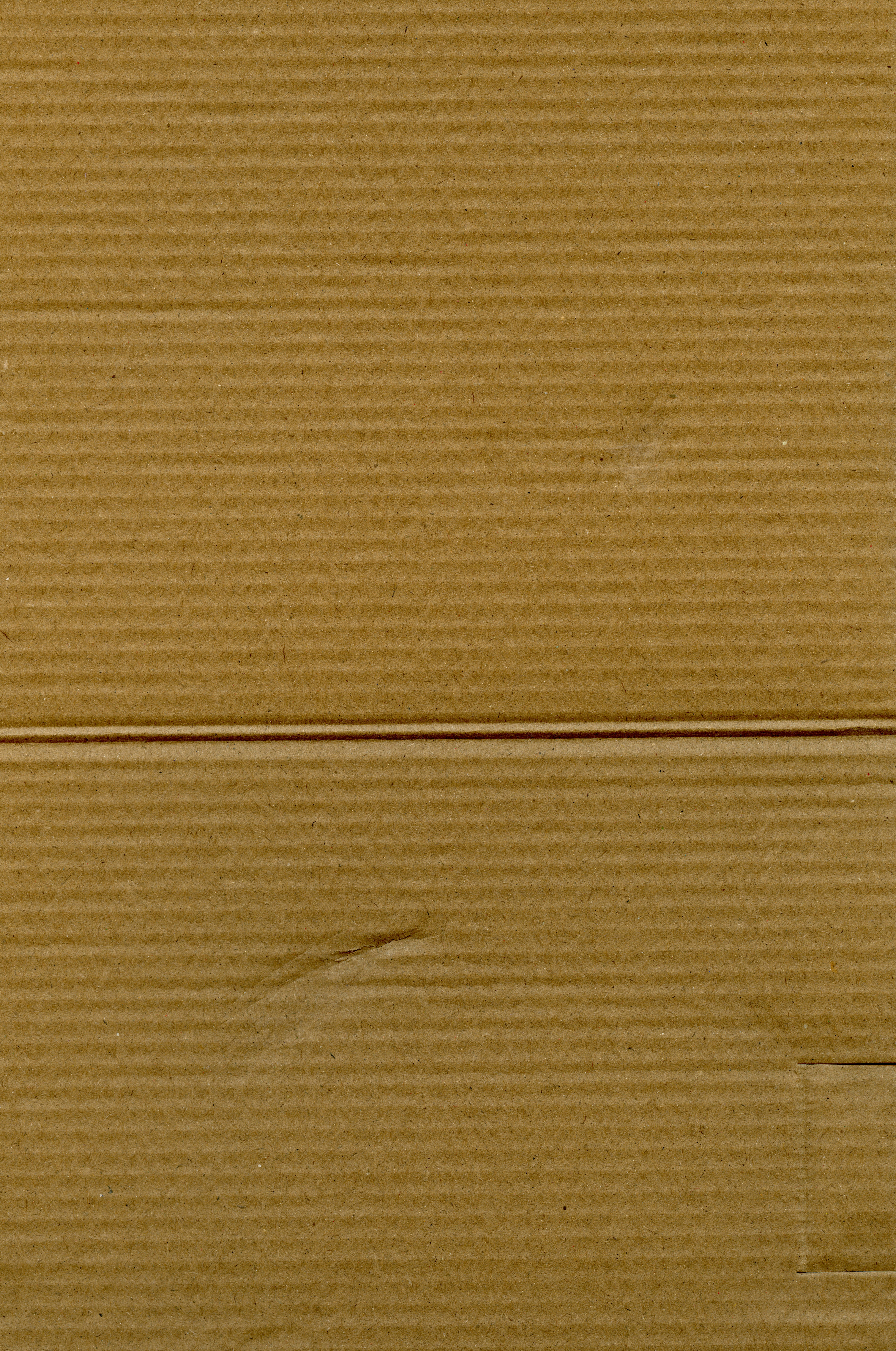 photo-1696764190824-bcdb5c8278d3?ixid=M3wxMjA3fDB8MXxzZWFyY2h8MTZ8fCVEMCVCQSVEMCVCRSVEMSU4MCVEMCVCRSVEMCVCMSVEMCVCQSVEMCVCOCUyMCVEMSU4MyVEMCVCRiVEMCVCMCVEMCVCQSVEMCVCRSVEMCVCMiVEMCVCRSVEMSU4NyVEMCVCRCVEMSU4QiVEMCVCNXxlbnwwfHx8fDE3NDQyODcwODN8MA\u0026ixlib=rb-4.0.3