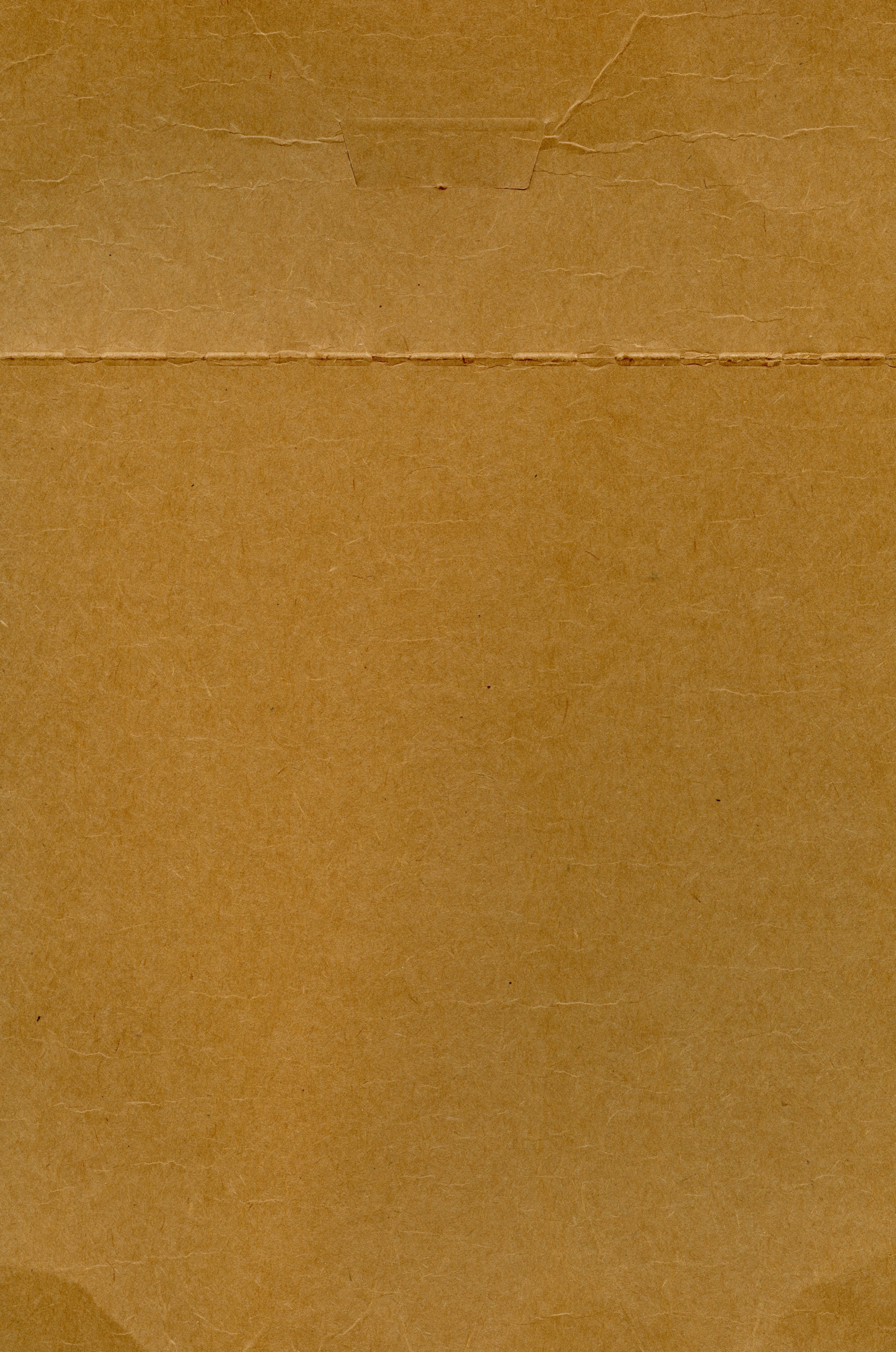 a piece of brown paper that has been torn off