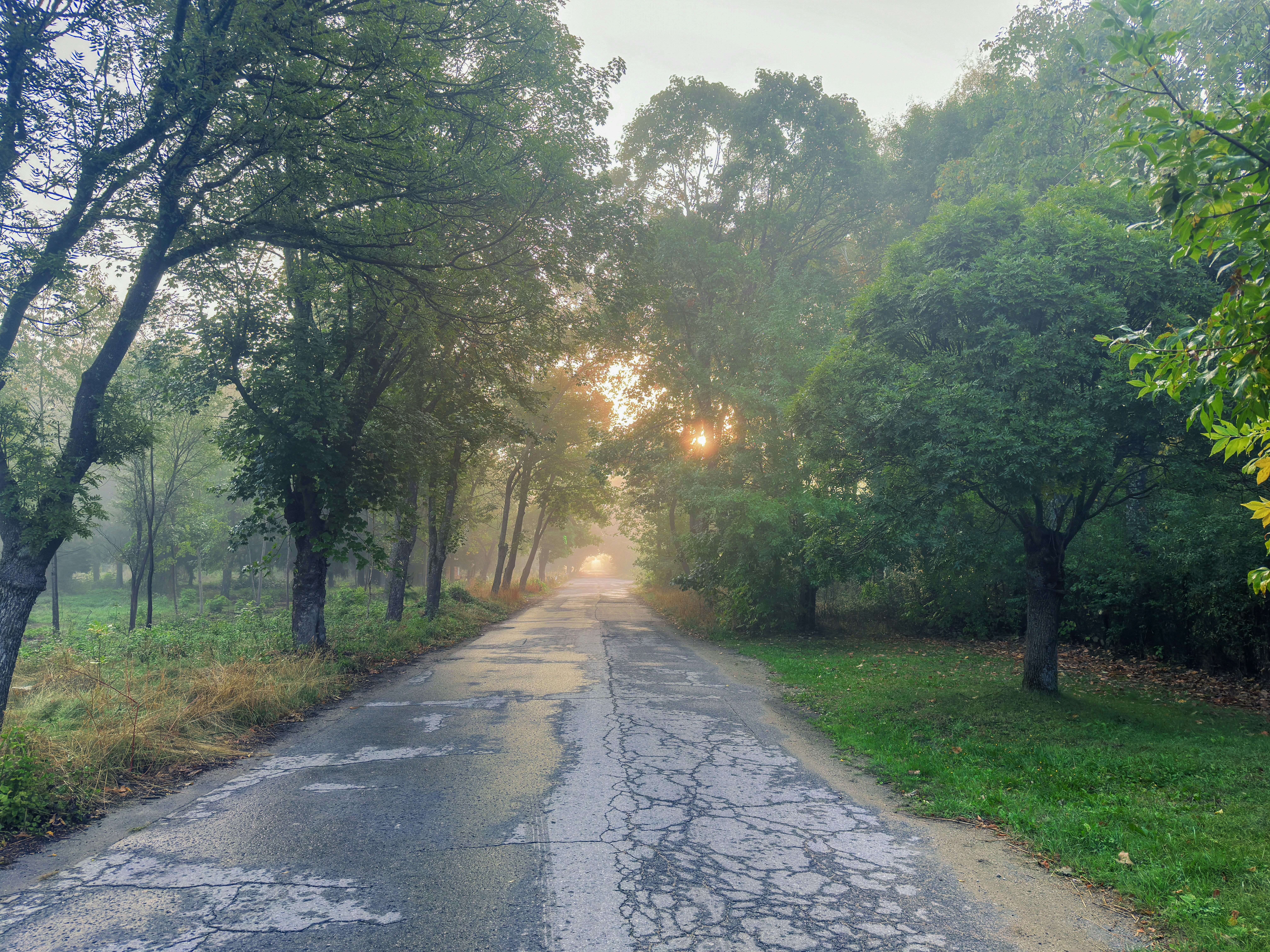 Photo by archange1michael