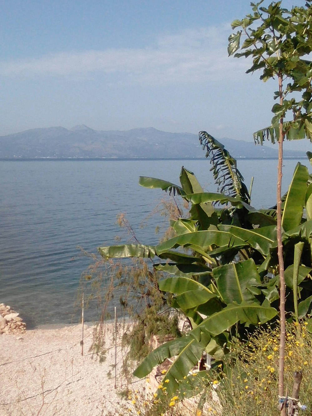 Una vista de un cuerpo de agua desde una playa