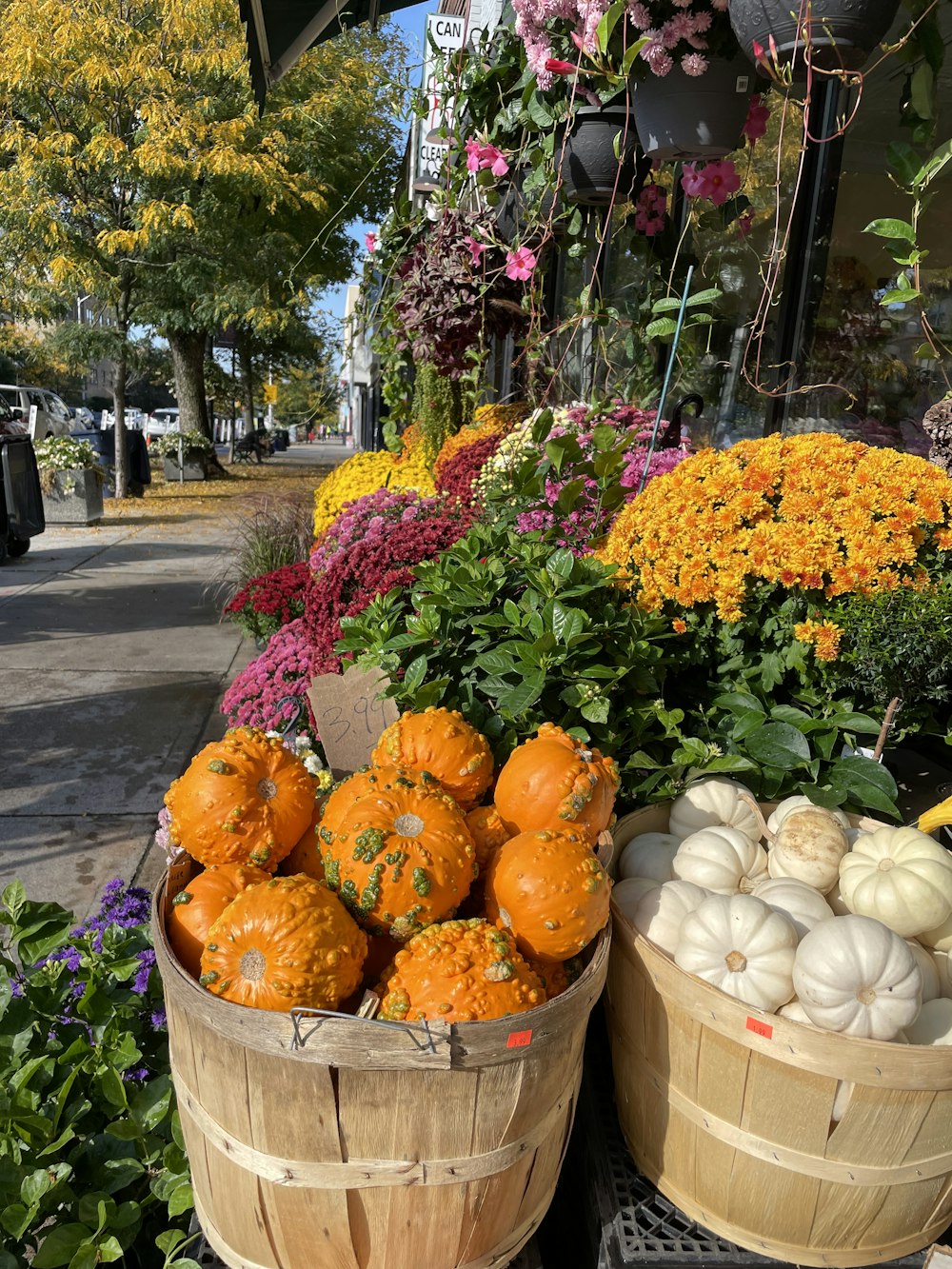 baskets of pumpkins and gourds in a flower shop